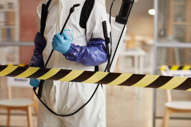 Professional Sewage Cleanup technician working in Elmwood Park, NJ